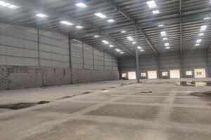  Warehouse For Rent in Pace City 2