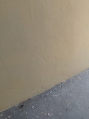 2 BHK Independent House For Sale in New Usmanpur