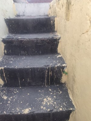 2 BHK Independent House – Exterior View View at New Usmanpur - for Sale