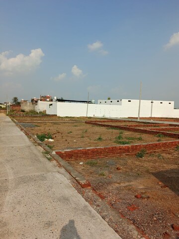 Plot Area in  Plot at Dostpur Mangroli Bangar – for Sale