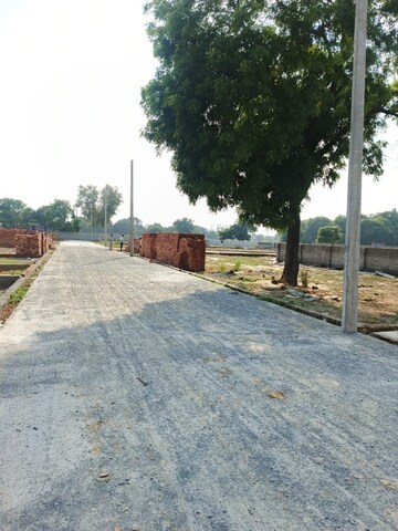  Plot – Exterior View View at Dostpur Mangroli Bangar - for Sale