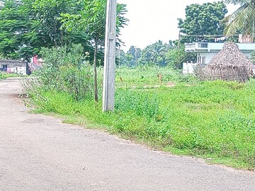 Plot Area in  Plot at Lankelapalem – for Sale