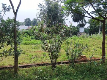  Plot For Sale in Lankelapalem