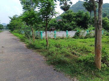 Plot Area in  Plot at Lankelapalem – for Sale