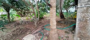  Plot – Garden View at Villadam - for Sale