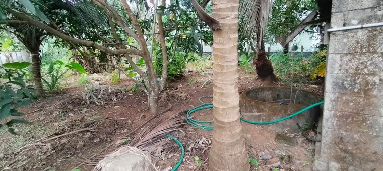 Garden, villadam  3049 Sq.Ft. Plot In Villadam Thrissur 9307271