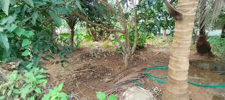 undefined, villadam  3049 Sq.Ft. Plot In Villadam Thrissur 9307271