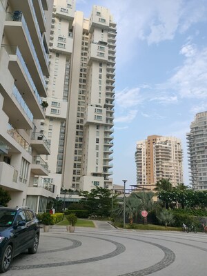5 BHK Apartment For Rent in Pioneer Park Araya, Sector 62