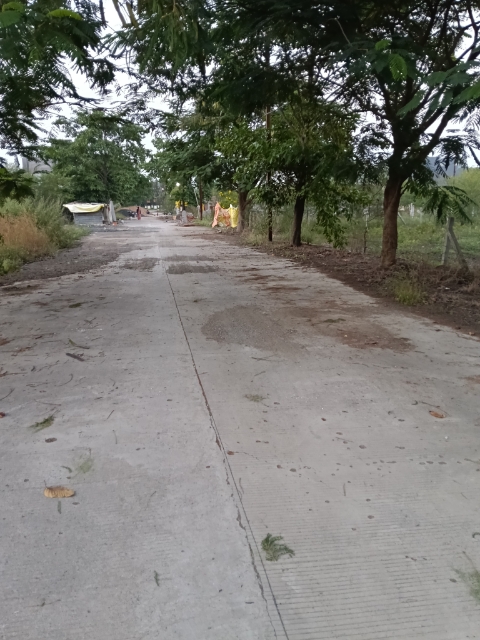 Plot For Sale in AB Bypass Road