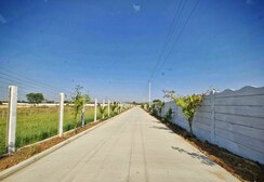 Plot For Sale in Barela Road