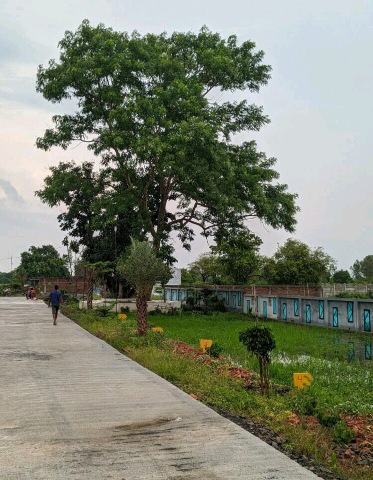 Garden, barela road  1000 Sq.Ft. Plot In Barela Road Jabalpur 9307770