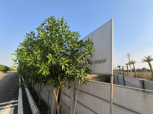  Plot – Exterior View View at Spiti Heritage Homes, Pataudi - for Sale