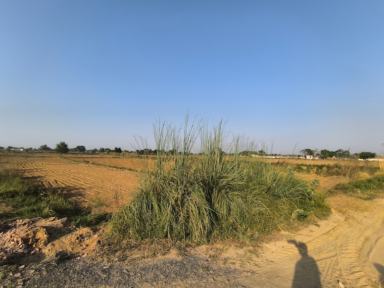 undefined, spiti-heritage-homes Commercial Land 6 Acre In Pataudi Gurgaon 9307820