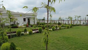  Plot For Sale in Sitapur Road