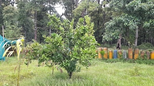  Plot For Sale in Khardaha