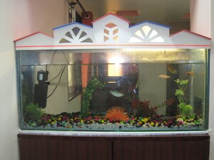 3 BHK Apartment – Exterior View View at Eka Elitas, Kothrud - for Sale