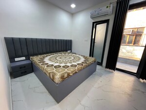 2 BHK Apartment For Rent in Tulip Lemon, Sector 69