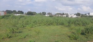 Plot Area in  Plot at Tukkuguda – for Sale