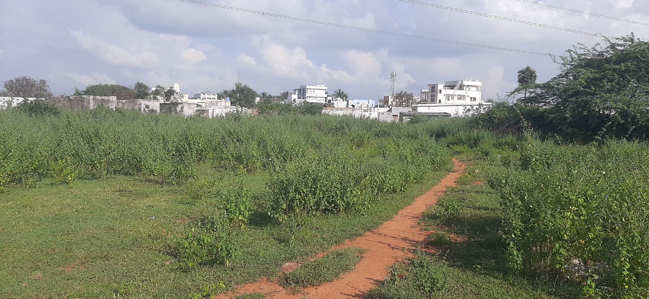 Plot For Sale in Tukkuguda