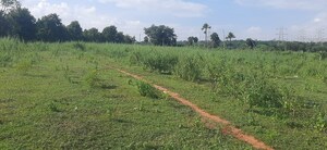 Plot Area in  Plot at Tukkuguda – for Sale