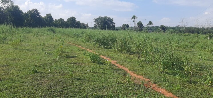 undefined, tukkuguda  1 Acre Plot In Tukkuguda Hyderabad 9308186