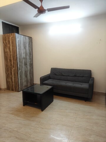 Living Room in 1 BHK Apartment at Chattarpur – for Sale