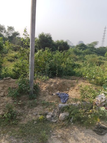 Plot Area in  Plot at Sector 78 – for Sale