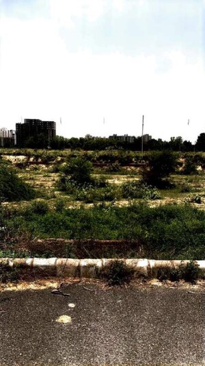 Plot Area in  Plot at Sector 97 – for Sale