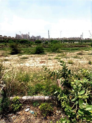 Plot Area in  Plot at Sector 97 – for Sale