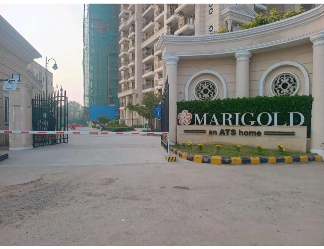 3 BHK Apartment For Sale in ATS Marigold