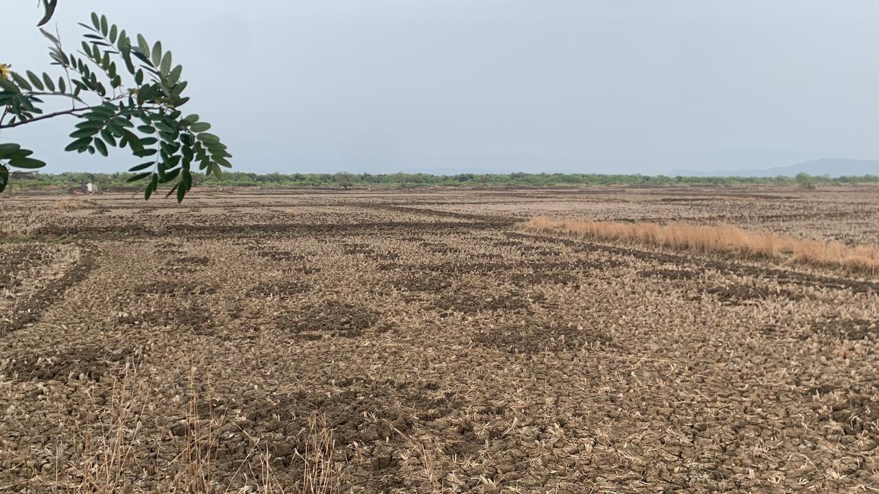 Plot For Sale in Investment Plot 