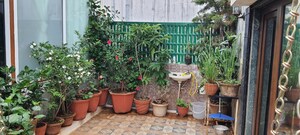 3 BHK Apartment – Exterior View View at Dhayari - for Sale