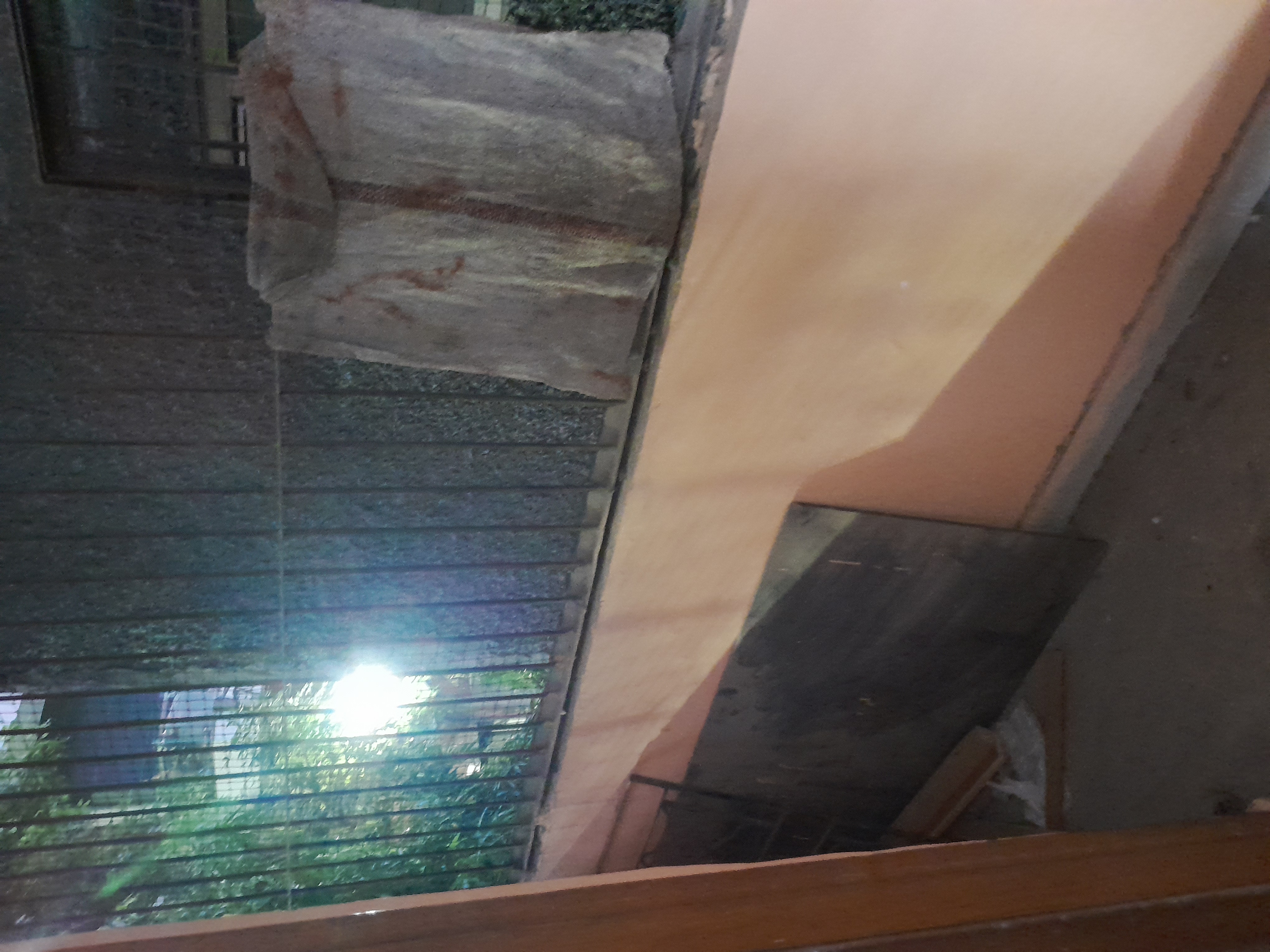 2 BHK Builder Floor For Sale in Rohini Sector 11