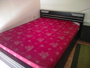 Bedroom in 2 BHK Apartment at Tulip Lemon, Sector 69 – for Rent