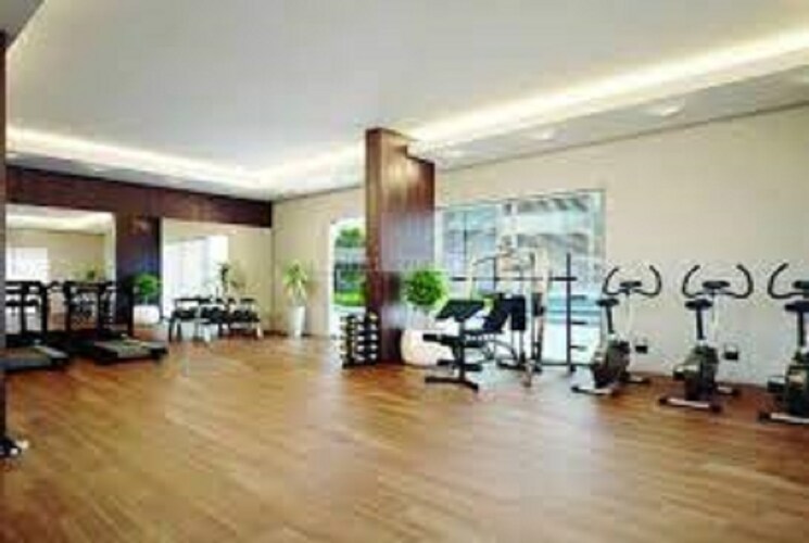 Gym, goyal-palladium Commercial Office Space 873 Sq.Ft. In Makarba Ahmedabad 9308842