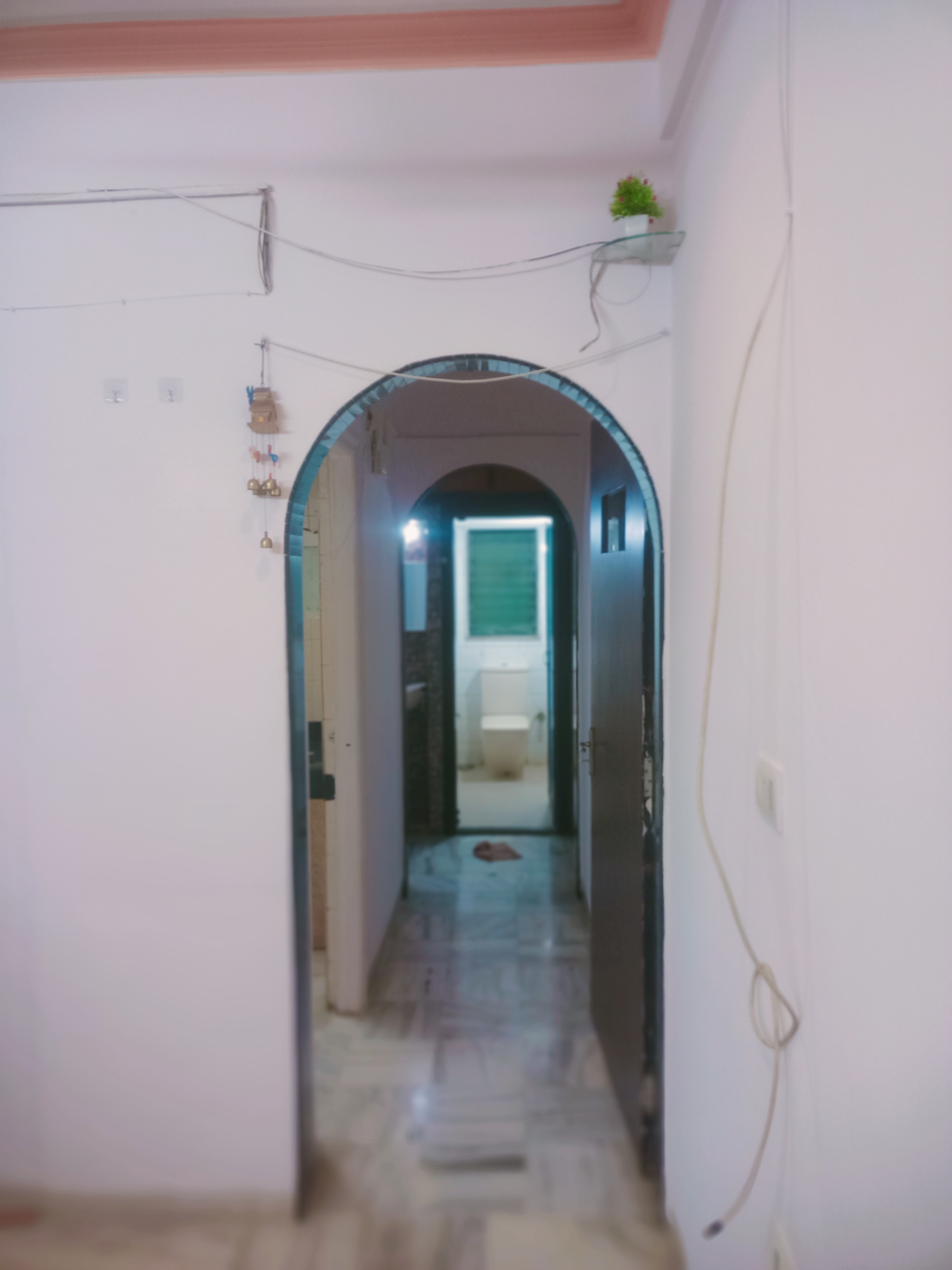 1 BHK Apartment For Rent in Ahimsa Appa CHS