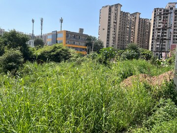  Plot For Sale in Sector 77