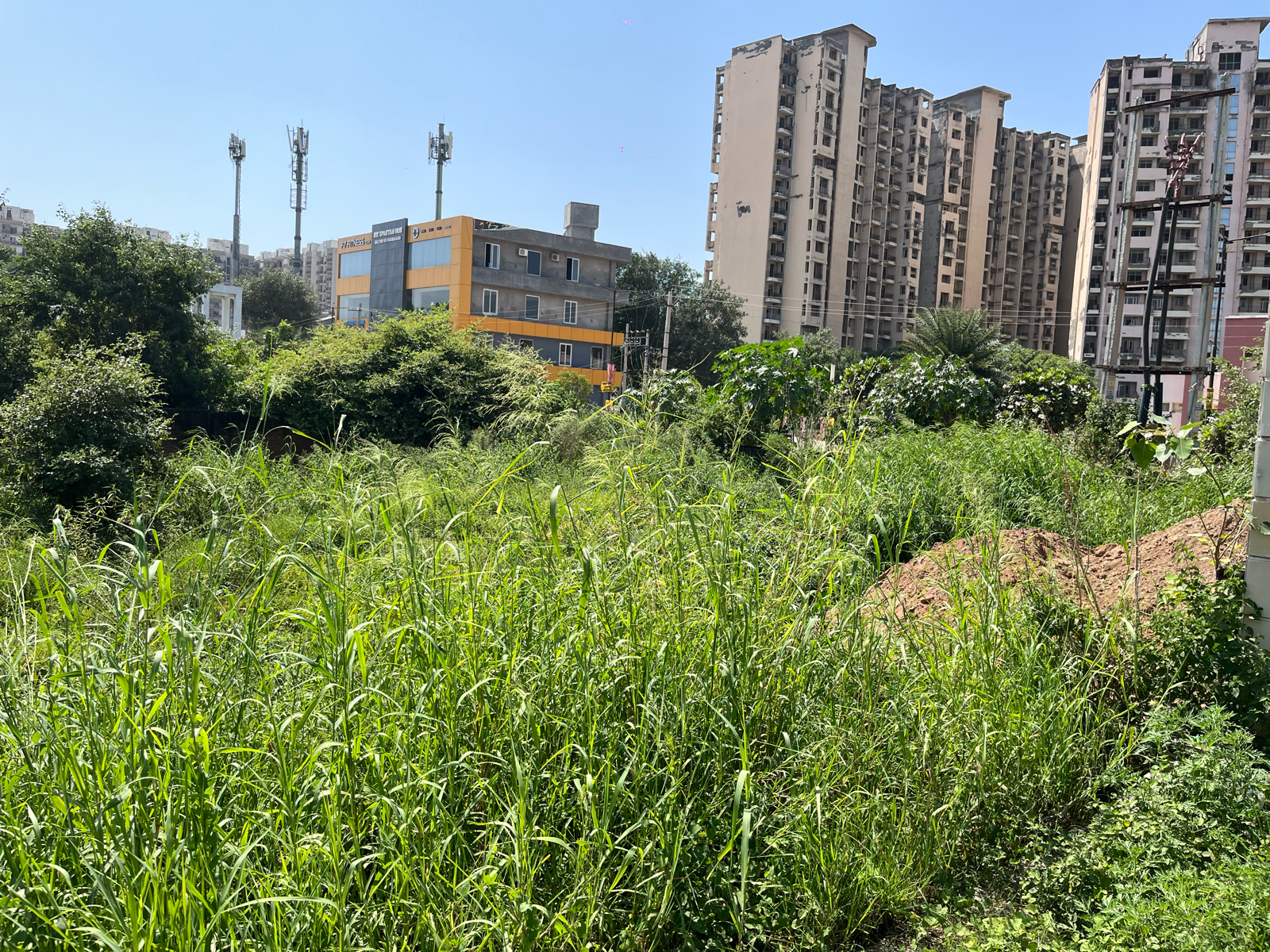 Plot For Sale in Huda Sector 77