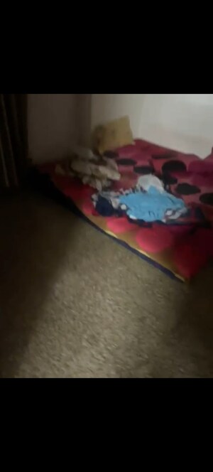 Bedroom in 1 BHK Apartment at Bhagwan Singh Apartment, Mahim – for Rent