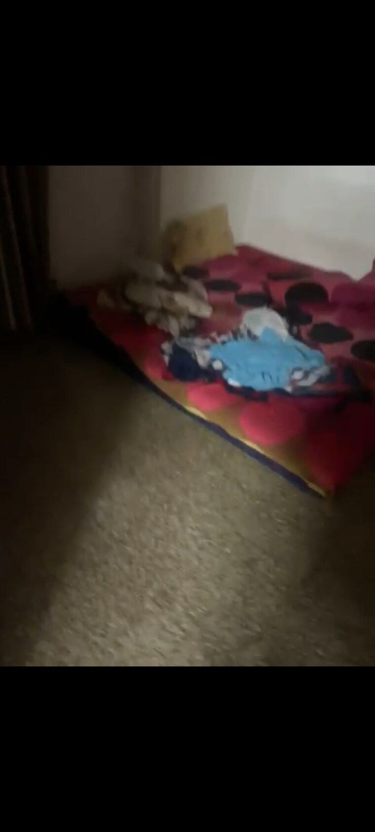 Bedroom, bhagwan-singh-apartment 1 Bedroom 450 Sq.Ft. Apartment In Mahim Mumbai 9309144