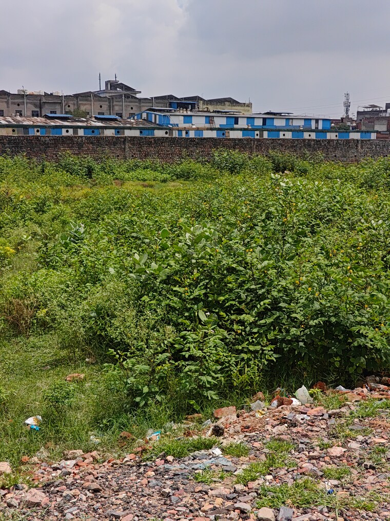 undefined, sector 25  200 Sq.Yd. Plot In Sector 25 Faridabad 9309183