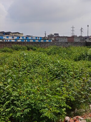  Plot – Exterior View View at Sector 25 - for Sale