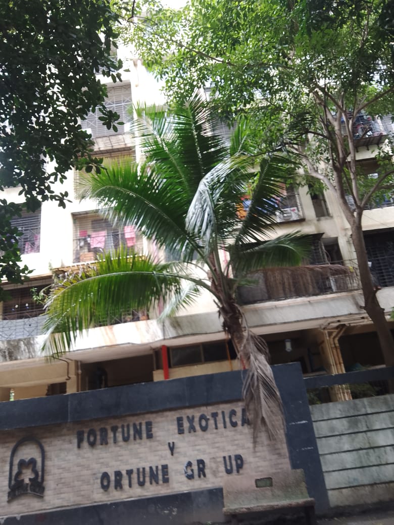3 BHK Apartment For Rent in Fortune Exotica