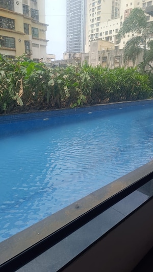 Room in  Pg at Worli Naka – for Rent