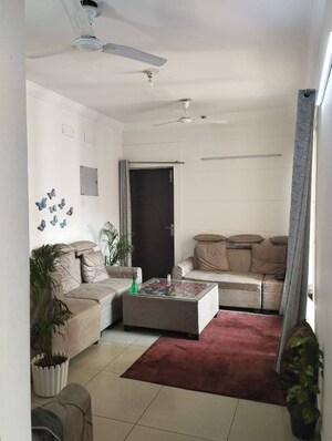 Living Room in 2 BHK Apartment at Exotica Dreamville, Sector 16c Greater Noida – for Rent