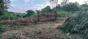 Plot Area in  Plot at Murbad – for Sale