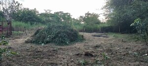  Plot For Sale in Murbad