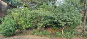 Plot Area in  Plot at Murbad – for Sale