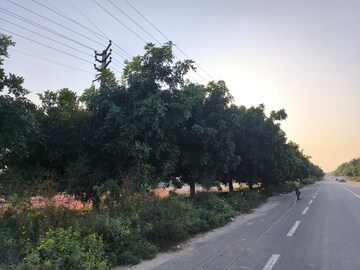Plot Area in  Plot at 3B Homes Pataudi One, Rampura – for Sale