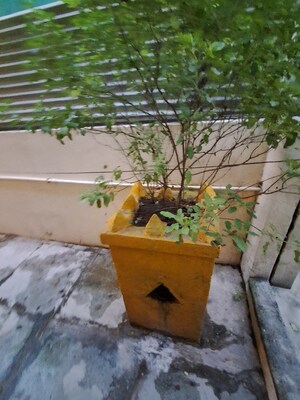 4 BHK Villa – Exterior View View at Kondapur - for Rent